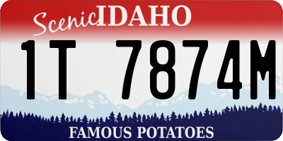 ID license plate 1T7874M