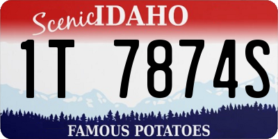 ID license plate 1T7874S