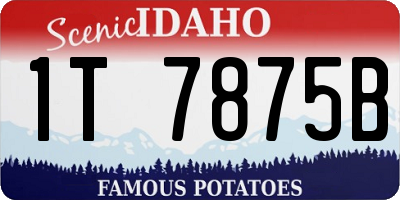 ID license plate 1T7875B