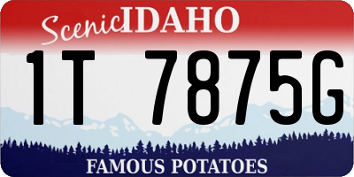ID license plate 1T7875G