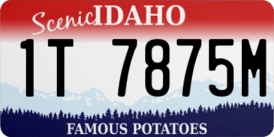 ID license plate 1T7875M