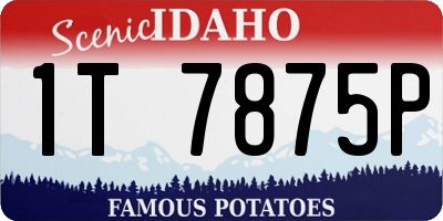 ID license plate 1T7875P