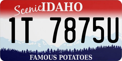 ID license plate 1T7875U