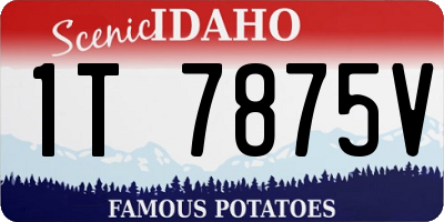 ID license plate 1T7875V