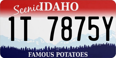 ID license plate 1T7875Y