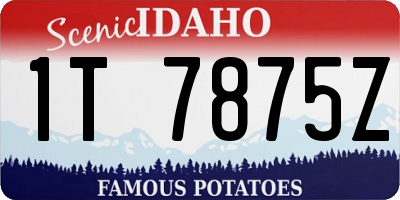ID license plate 1T7875Z