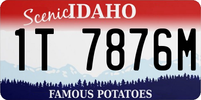 ID license plate 1T7876M