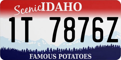 ID license plate 1T7876Z