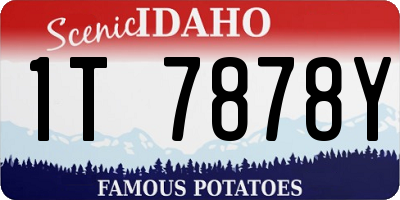 ID license plate 1T7878Y