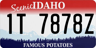 ID license plate 1T7878Z