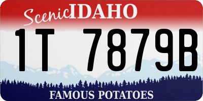 ID license plate 1T7879B