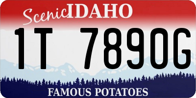 ID license plate 1T7890G