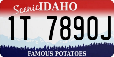 ID license plate 1T7890J