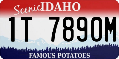 ID license plate 1T7890M