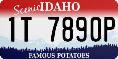 ID license plate 1T7890P