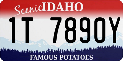 ID license plate 1T7890Y