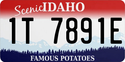 ID license plate 1T7891E