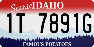 ID license plate 1T7891G