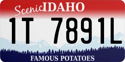 ID license plate 1T7891L
