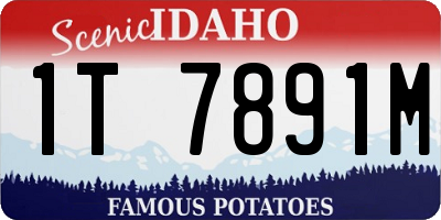 ID license plate 1T7891M