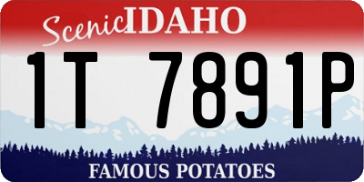 ID license plate 1T7891P