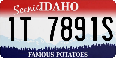 ID license plate 1T7891S