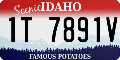 ID license plate 1T7891V