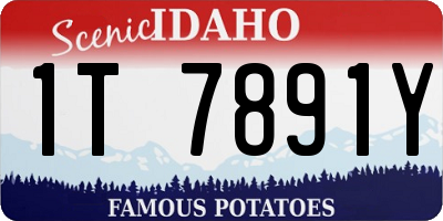 ID license plate 1T7891Y