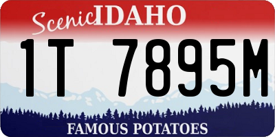 ID license plate 1T7895M