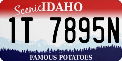 ID license plate 1T7895N