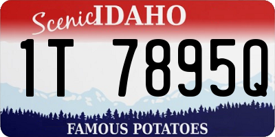 ID license plate 1T7895Q