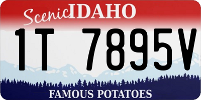 ID license plate 1T7895V