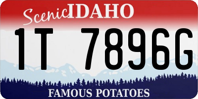 ID license plate 1T7896G