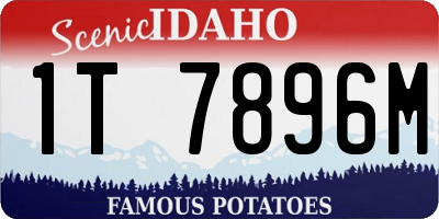 ID license plate 1T7896M