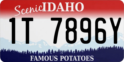 ID license plate 1T7896Y