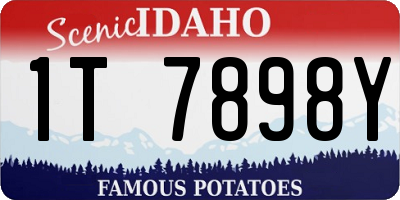 ID license plate 1T7898Y