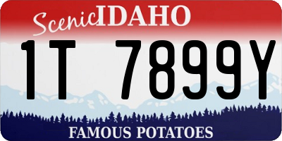 ID license plate 1T7899Y