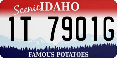 ID license plate 1T7901G