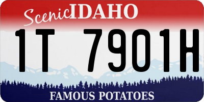 ID license plate 1T7901H