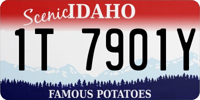 ID license plate 1T7901Y