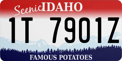 ID license plate 1T7901Z