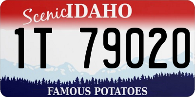 ID license plate 1T7902O