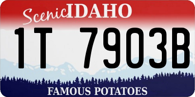 ID license plate 1T7903B