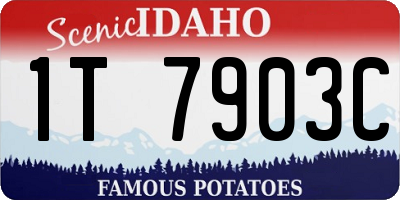 ID license plate 1T7903C