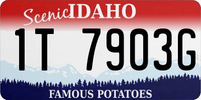 ID license plate 1T7903G
