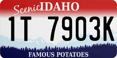 ID license plate 1T7903K