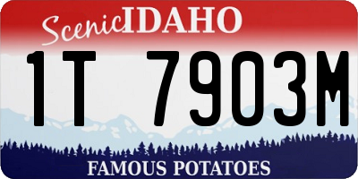 ID license plate 1T7903M