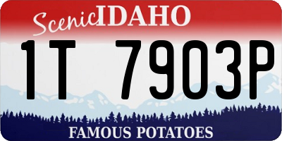 ID license plate 1T7903P