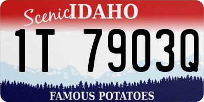 ID license plate 1T7903Q