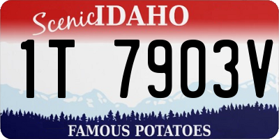 ID license plate 1T7903V